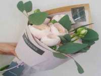 湖南蓝沃彦商贸有限公司
