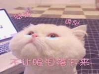 湖南蓝沃彦商贸有限公司