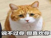 湖南蓝沃彦商贸有限公司