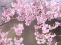 湖南蓝沃彦商贸有限公司