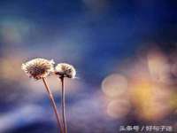 湖南蓝沃彦商贸有限公司