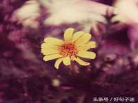 湖南蓝沃彦商贸有限公司