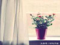 湖南蓝沃彦商贸有限公司
