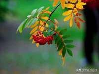 湖南蓝沃彦商贸有限公司