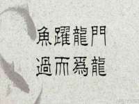 湖南蓝沃彦商贸有限公司