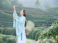 湖南蓝沃彦商贸有限公司
