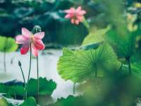 湖南蓝沃彦商贸有限公司