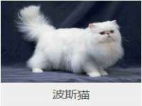 湖南蓝沃彦商贸有限公司