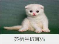 湖南蓝沃彦商贸有限公司