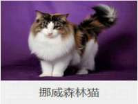 湖南蓝沃彦商贸有限公司