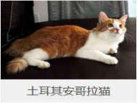 湖南蓝沃彦商贸有限公司