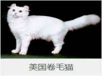 湖南蓝沃彦商贸有限公司