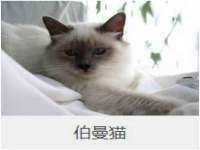 湖南蓝沃彦商贸有限公司