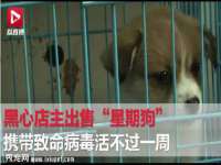 湖南蓝沃彦商贸有限公司