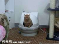 湖南蓝沃彦商贸有限公司