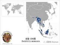 湖南蓝沃彦商贸有限公司