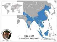 湖南蓝沃彦商贸有限公司