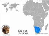 湖南蓝沃彦商贸有限公司
