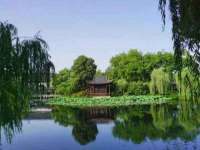 湖南蓝沃彦商贸有限公司