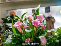 湖南蓝沃彦商贸有限公司