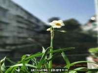 湖南蓝沃彦商贸有限公司