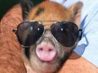 湖南蓝沃彦商贸有限公司
