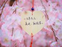 湖南蓝沃彦商贸有限公司