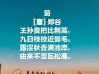 湖南蓝沃彦商贸有限公司