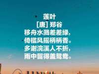 湖南蓝沃彦商贸有限公司