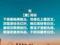 湖南蓝沃彦商贸有限公司