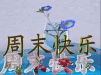 湖南蓝沃彦商贸有限公司