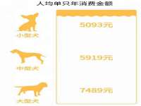湖南蓝沃彦商贸有限公司