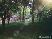 湖南蓝沃彦商贸有限公司