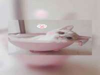湖南蓝沃彦商贸有限公司