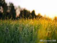 湖南蓝沃彦商贸有限公司