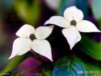 湖南蓝沃彦商贸有限公司