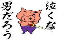 湖南蓝沃彦商贸有限公司