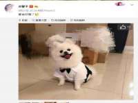 湖南蓝沃彦商贸有限公司