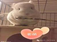 湖南蓝沃彦商贸有限公司