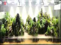 湖南蓝沃彦商贸有限公司