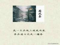 湖南蓝沃彦商贸有限公司
