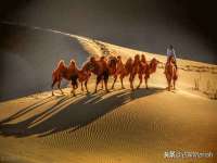 湖南蓝沃彦商贸有限公司