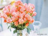 湖南蓝沃彦商贸有限公司