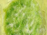 湖南蓝沃彦商贸有限公司