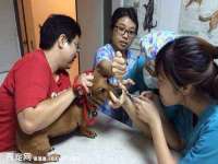 湖南蓝沃彦商贸有限公司