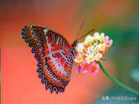 湖南蓝沃彦商贸有限公司