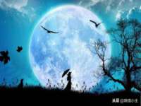 湖南蓝沃彦商贸有限公司