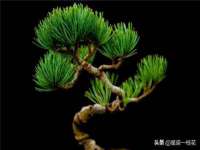 湖南蓝沃彦商贸有限公司