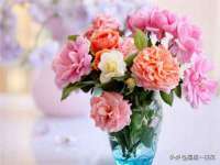 湖南蓝沃彦商贸有限公司